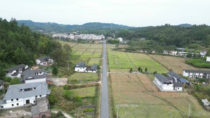 秋季乡村道路景象