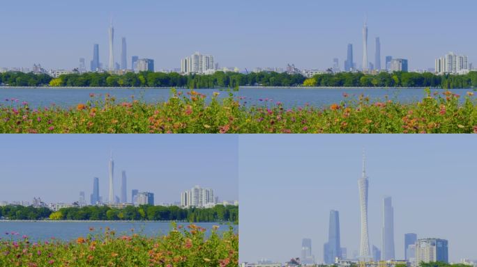 广州塔海珠湖海珠湖视角鲜花下广州塔晴天