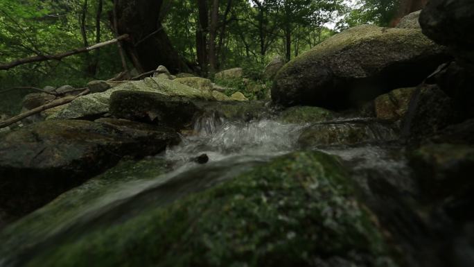 山中小路树林 河水