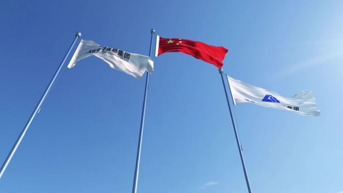 福建省电子信息集团旗帜