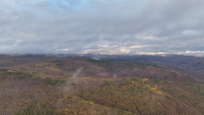 大兴安岭冻土地带秋季原始森林