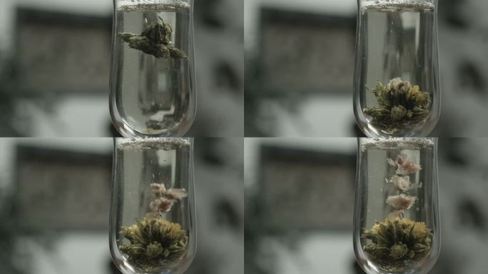 沏茶开花 工艺茶