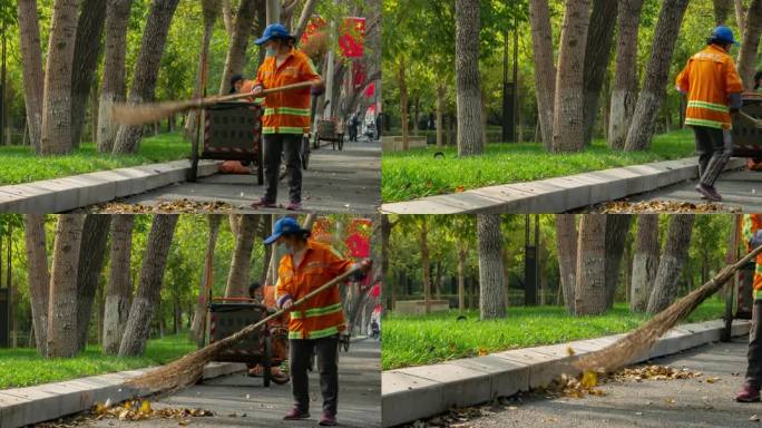 秋季马路边环卫工人扫落叶