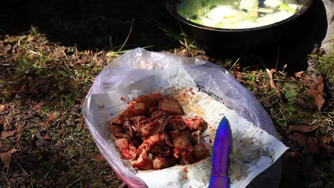 荒野求生 户外切肉菜 户外烤肉切肉