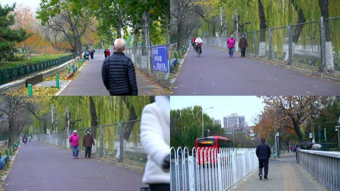 早上公园小路老年人散步 锻炼身体