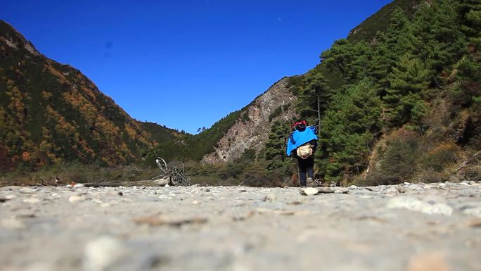 背包穿过树林 背包沿河谷 徒步背包