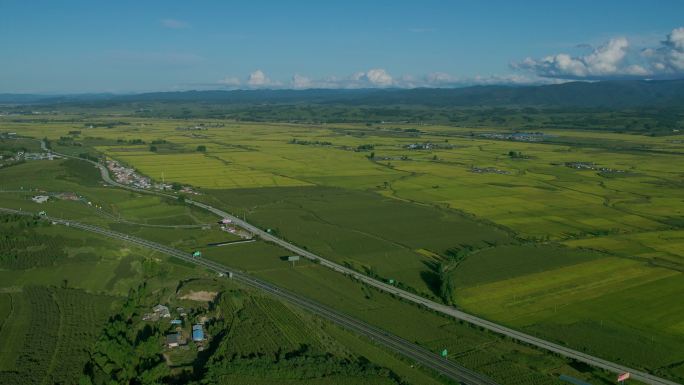 稻谷种植场鸟瞰图希望田野广袤大地农田庄稼