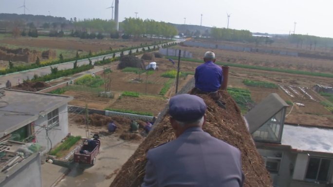 胶东农村民居修整海草房顶老草房