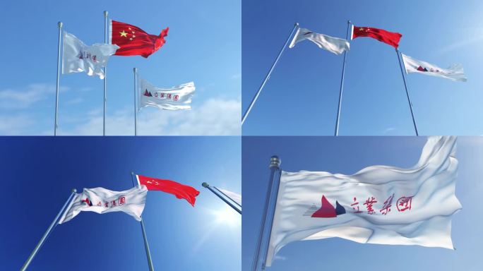 深圳市立业集团有限公司旗帜