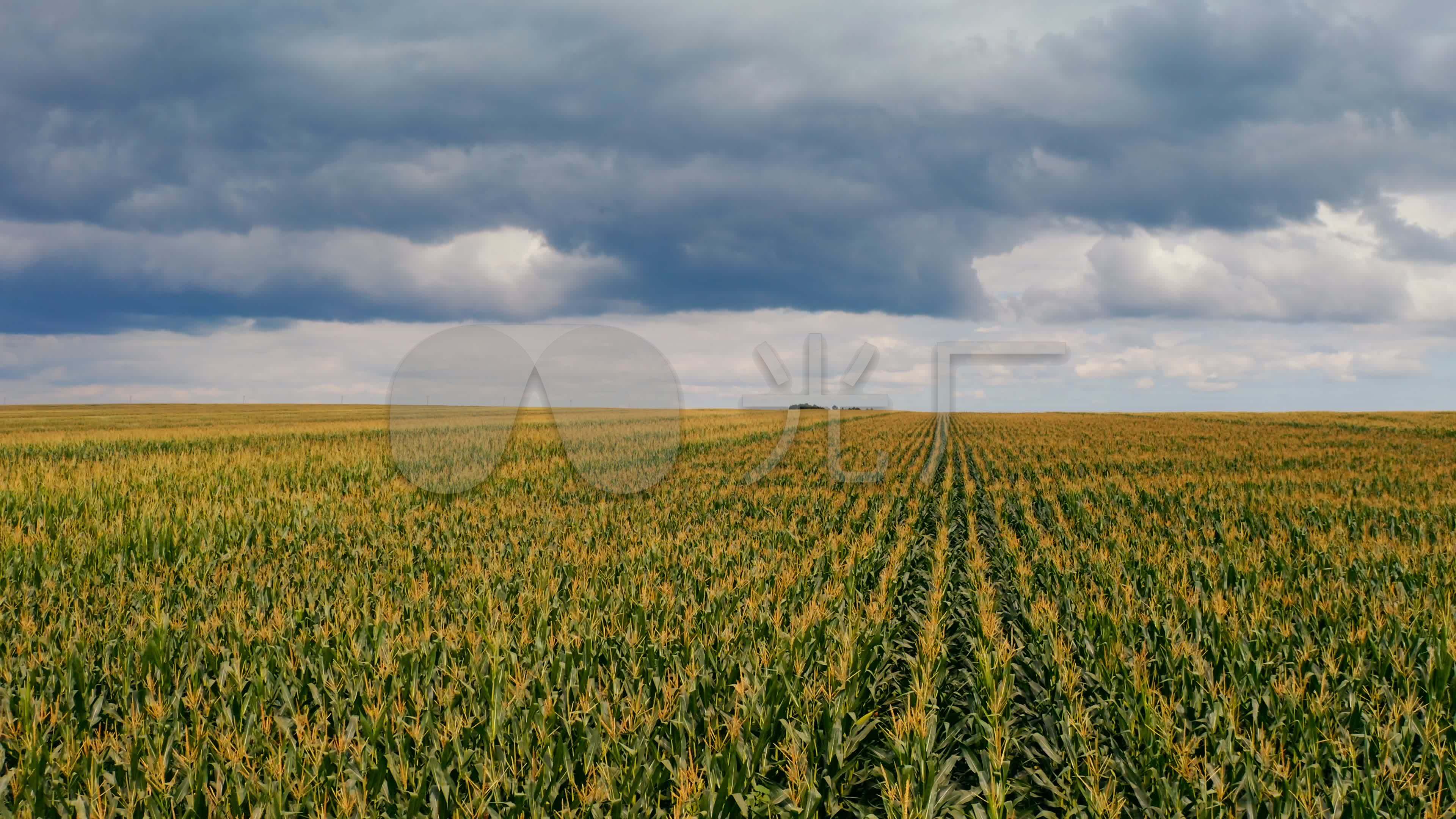 Conséquences du changement climatique Commission européenne