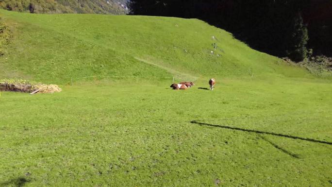 火车经过绿色的草地与山脉