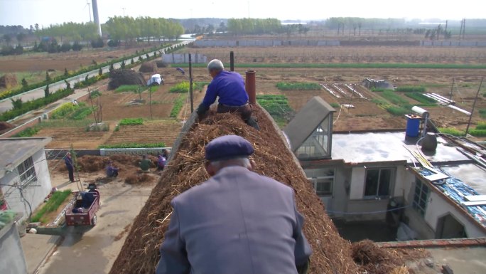 胶东农村民居修整海草房顶系列素材-10