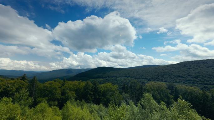 长白山 延边州 森林