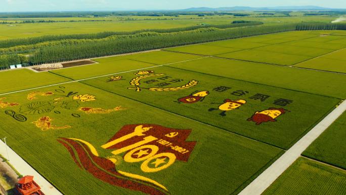 彩色稻田 田野 农场 美丽中国