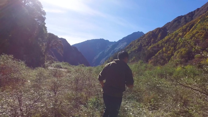 草丛间 男子的背影 男子在草丛中走着