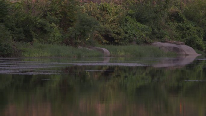 水面河水 山村 农村