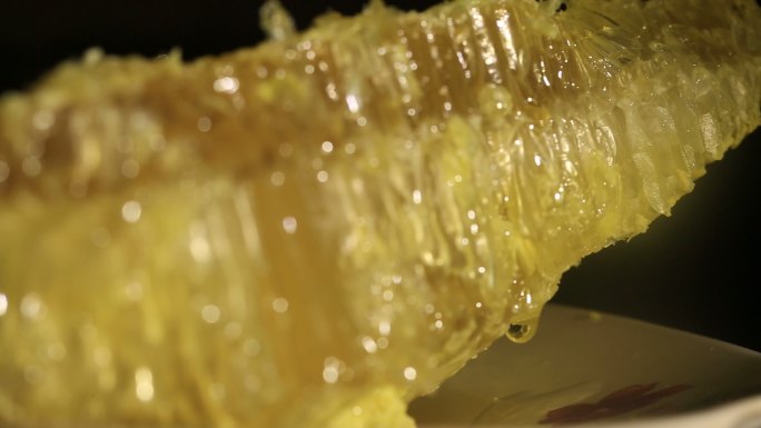 蜂巢采蜜天然蜂蜜
