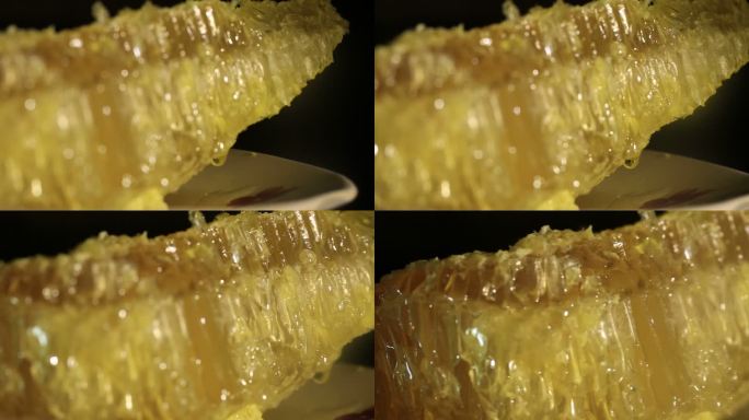 蜂巢采蜜天然蜂蜜