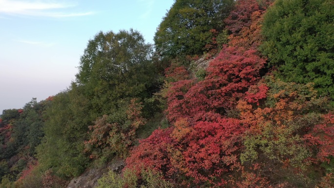 秦岭 翠华山 航拍 终南山 生态 自然