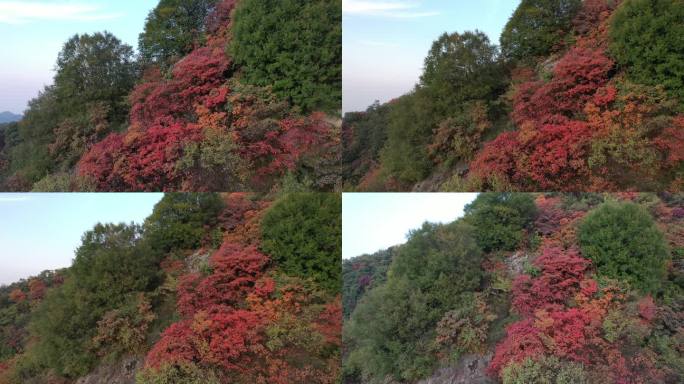 秦岭 翠华山 航拍 终南山 生态 自然