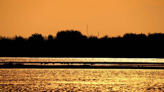 夕阳下的黄河
