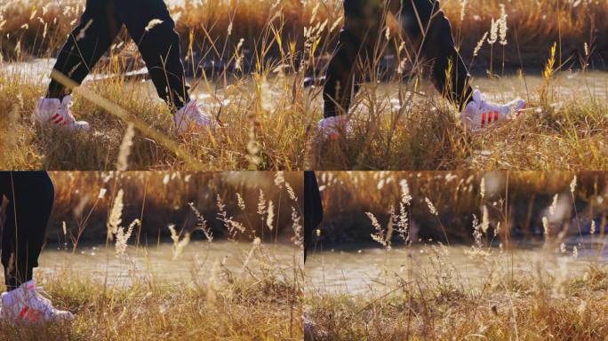女孩走在金色芦苇荡草丛脚步特写升格空镜头