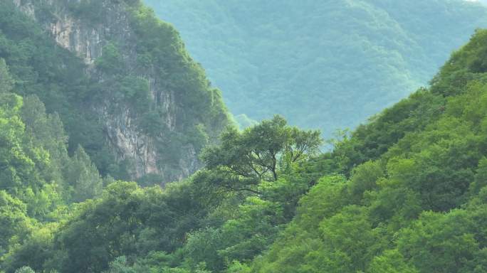 大山里景区航拍森林绿树大自然双龙湾卢氏