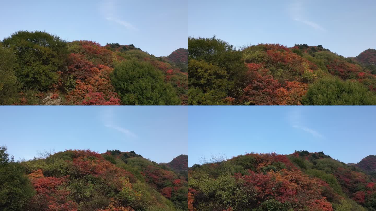 秦岭 翠华山 航拍 终南山 生态 自然