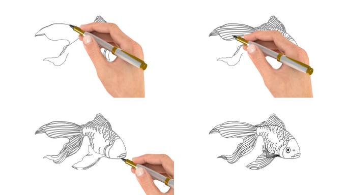 手绘一条鱼素材2