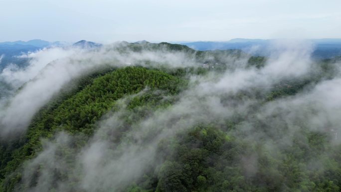 自然航拍森林山云雾流动4K