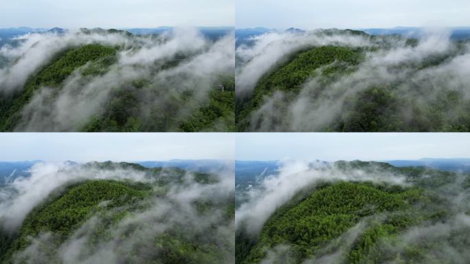 自然航拍森林山云雾流动4K