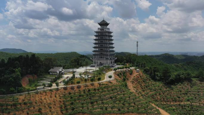 航拍广西高峰森林公园高峰塔