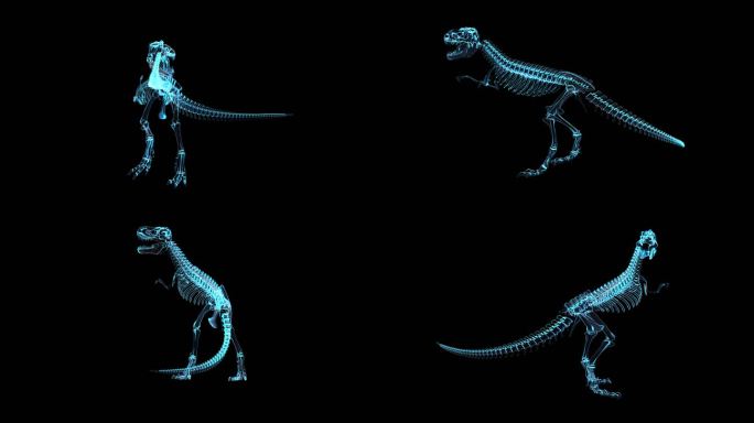 科技全息霸王龙骨架透明通道素材