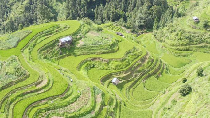 贵州梯田  原生态旅游