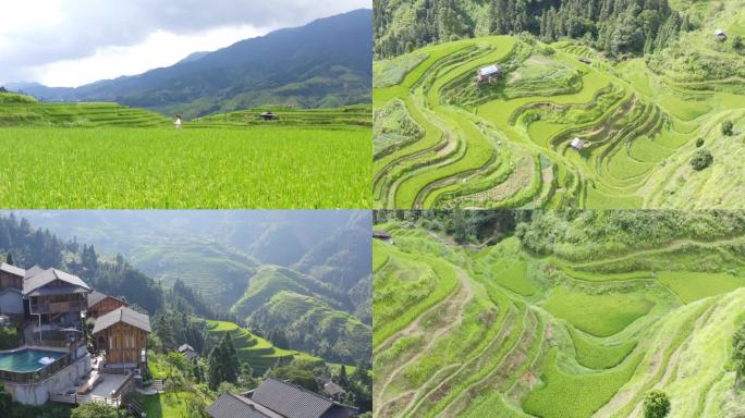 贵州梯田  原生态旅游