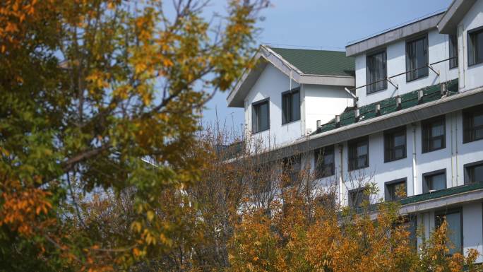 秋季树叶前景的白色酒店建筑