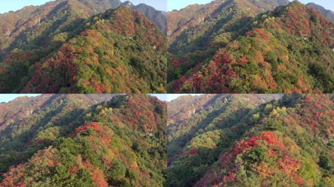 秦岭 翠华山 航拍 终南山 生态 自然