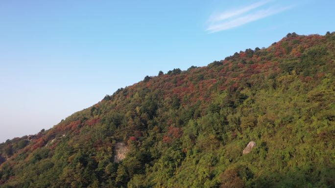 秦岭 翠华山 航拍 终南山 生态 自然