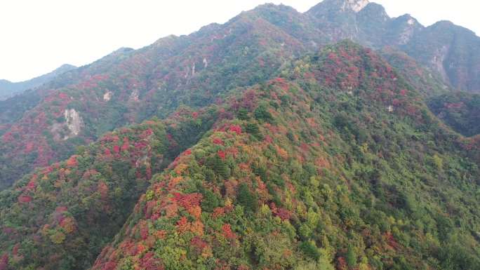 秦岭 翠华山 航拍 终南山 生态 自然