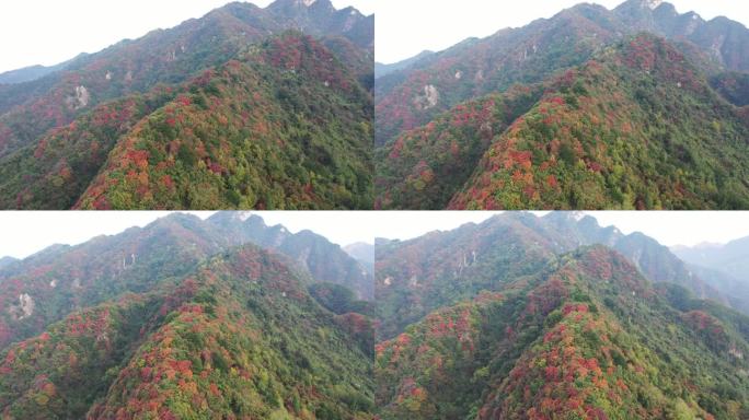 秦岭 翠华山 航拍 终南山 生态 自然