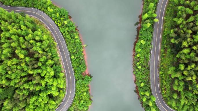 无人机航拍俯拍森林湖泊竹海4K素材