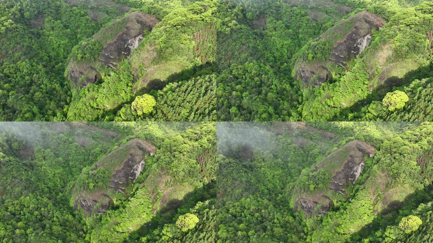 青山云海雨后初晴