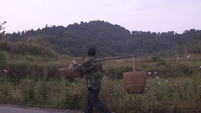 农村小路 山间小路