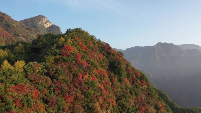 秦岭 翠华山 航拍 终南山 生态 自然