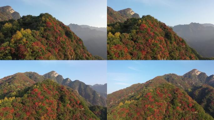 秦岭 翠华山 航拍 终南山 生态 自然