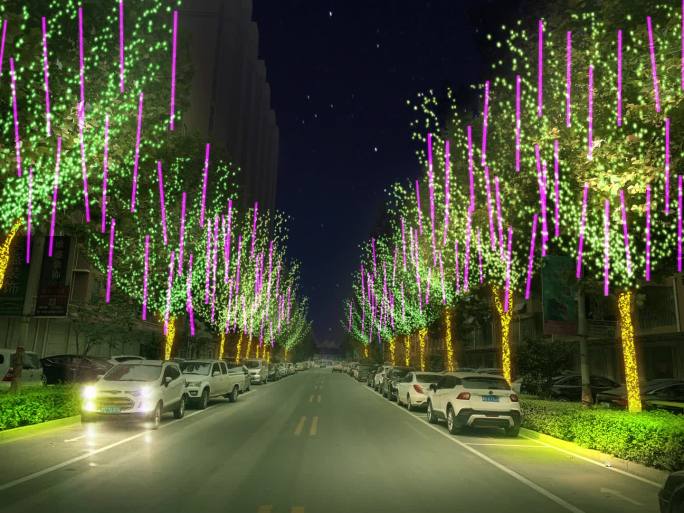 绿化带树木绿植道路亮化