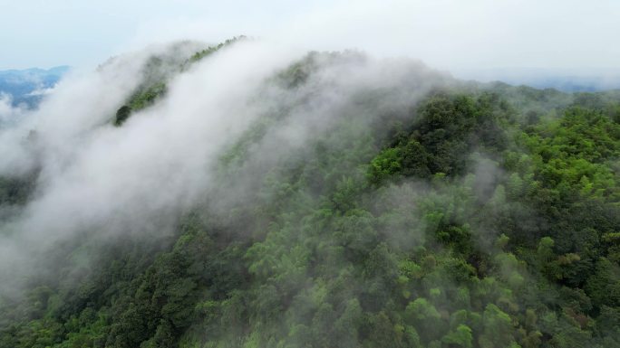 自然航拍森林山云雾流动4K