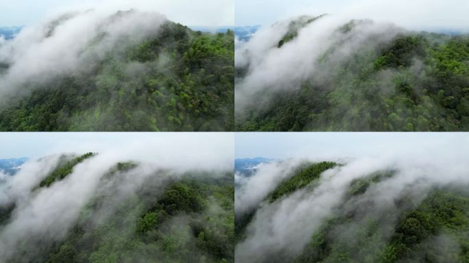 自然航拍森林山云雾流动4K