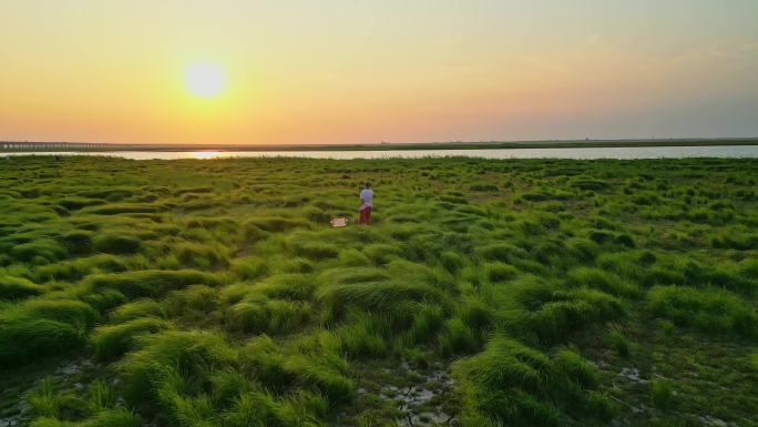 鄱阳湖草地航拍