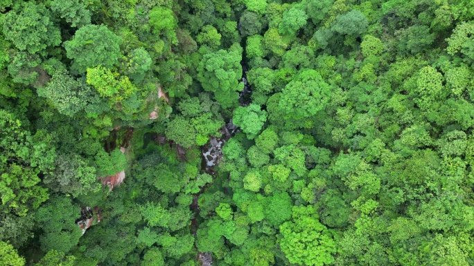 无人机俯拍佛光岩山谷森林4K